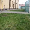 Planteaza-speranta-5