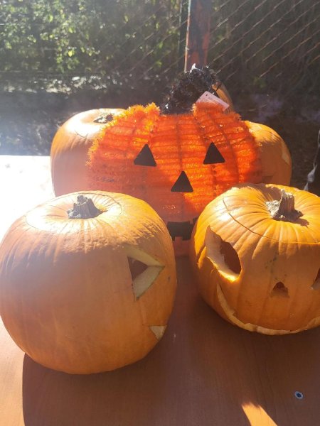 Halloween-11