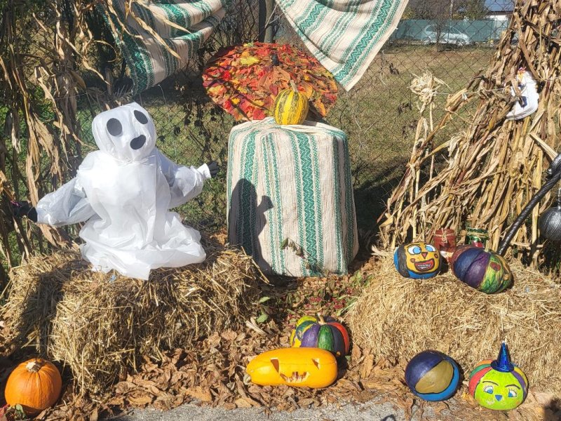 Halloween-5