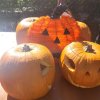 Halloween-11