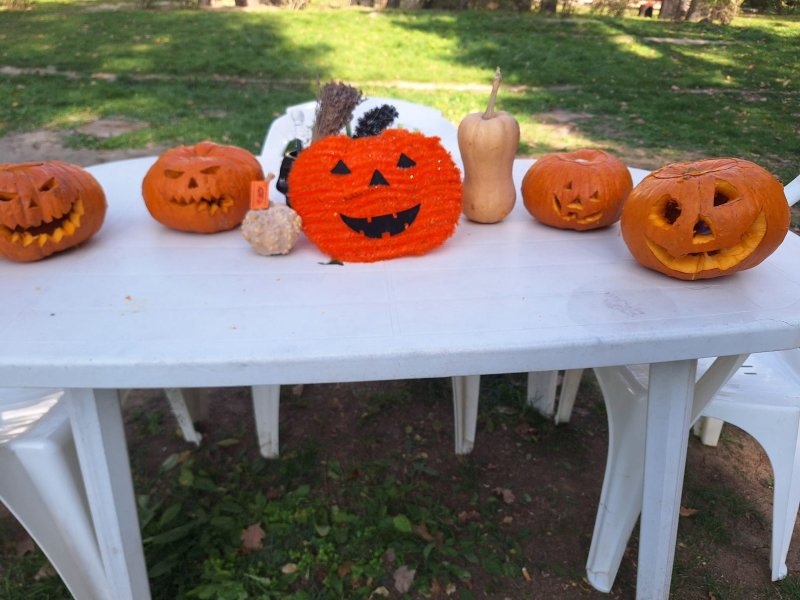 Halloween 2024