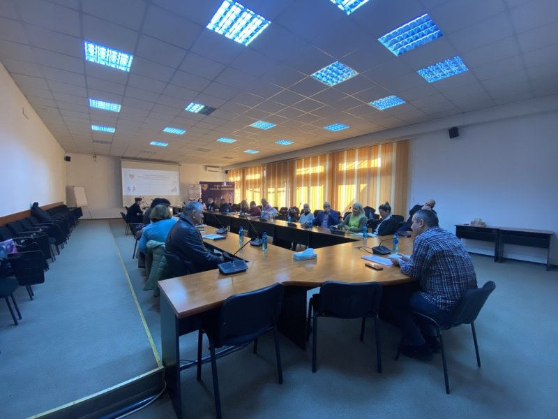 sedinta-Comitet-accelerare-dezinstitutionalizare1