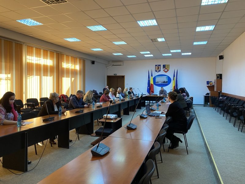 sedinta-Comitet-accelerare-dezinstitutionalizare3