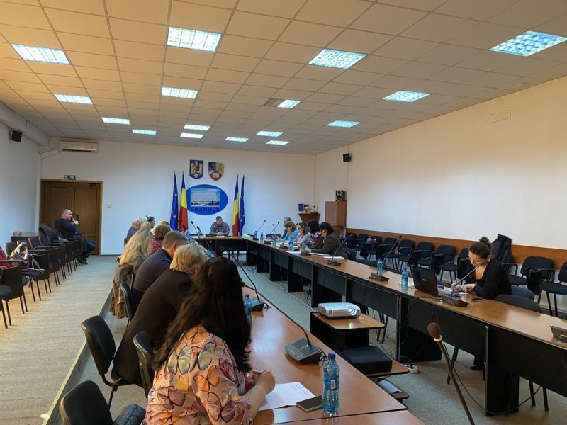 sedinta-Comitet-accelerare-dezinstitutionalizare4